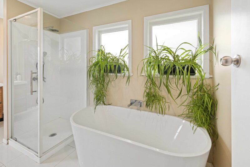 Property image 236874
