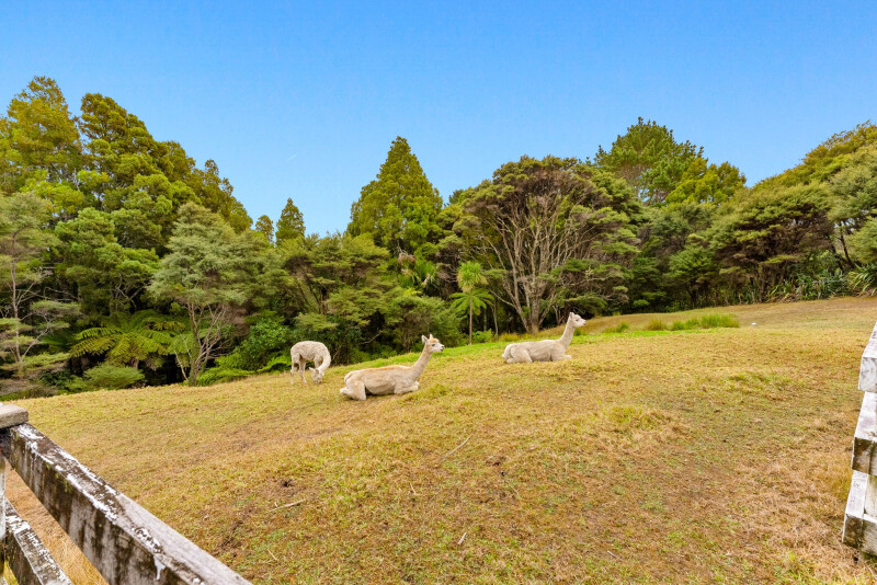 Property image 311874