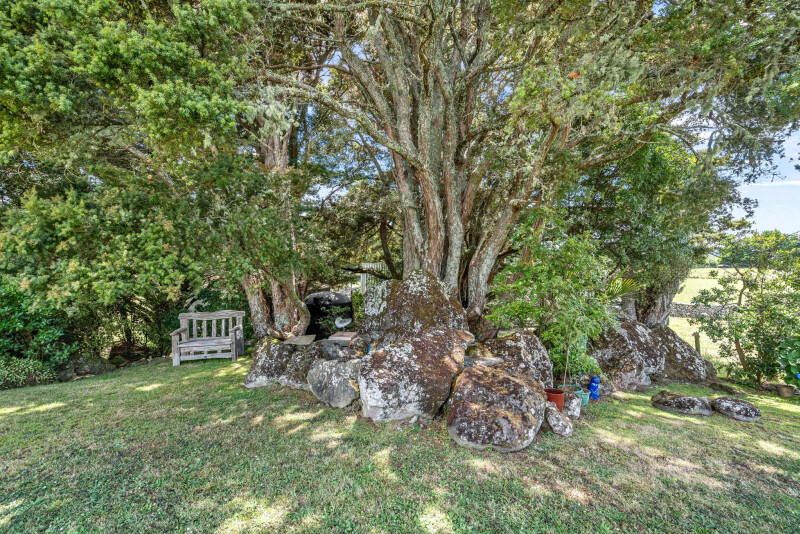 Property image 313782