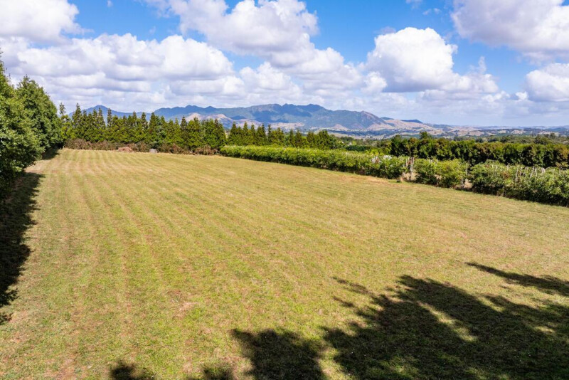 Property image 320312